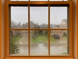A raining day view look from a indoor window