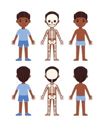 Skeletal System of a Small Child. Human Skeleton. Front and Back view. A Pretty Boy Standing and Smiling. Illustration for Lesson of Anatomy and Biology. Education for Little Children. Vector image.