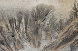 trees - drawing in the sand at low tide created by sea water