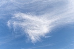 Beautiful  white  windy feather-like cloud on the  blu sky. Romantic background.