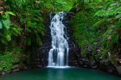 A cascade in the tropical forest of Basse Terre, Guadeloupe