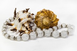 White transparent beads are entwined around seashells on a white background. Jewelry made of artificial materials.