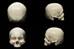 synthetic skull many angle view on black with clipping path