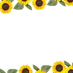 Frame decorated with sunflowers. Bunch of yellow daisy sunflowers on white background