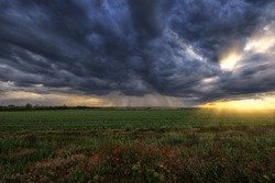 Thunderstorm over a green field with poppies in the foreground, strips of rain in the distance and the sun's rays from the clouds