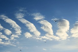 An unusual cloud formation on a summer day. birds in the sky