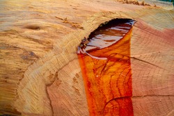 Textured close up of freshly chopped wood with sap bleeding from an eye-shaped crack