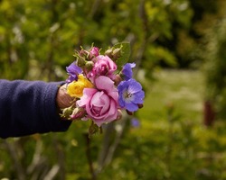 Closeup of a summerflower bouquet carried by hand.
