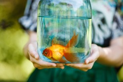 Jar with gold fish in hands of young girl