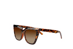 Leopard cat eye sunglasses isolated on white background.