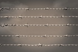 Barbed wire in sepia