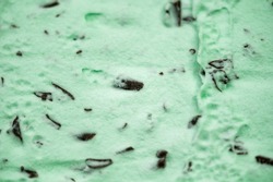 Organic Green Mint Chocolate Chip Ice Cream