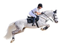 Equestrian sport: young girl in jumping show (isolated on white)