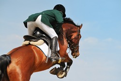 Rider on bay horse in jumping show