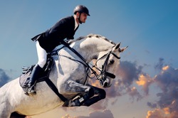Rider on white horse in jump on the background of sunset sky