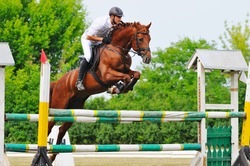 Rider in jumping show