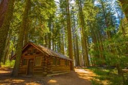Cabin in the Woods, Yosemite National Park, California, USA.  Mariposa Grove, sequoia trees.