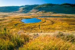 Lake in a prairie field in Yellowstone National Park, Wyoming, USA.