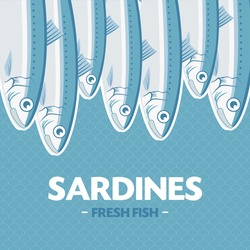 Sardines, Sardina pilchardus. Vector illustration. Advertising, menu or packaging cool design elements.