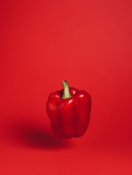 Fresh red bell pepper isolated on matching vibrant red background. Creative organic vegetable concept. Banner for healthy food or diet with copy space. Trendy macro or close up.