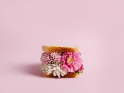 Delicious homemade sandwich with flowers on pastel pink background. Creative floral bloom concept. Minimal spring or summer food theme. Abstract visual trend.