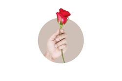 Hand holding res rose out of circle, isolated on white background