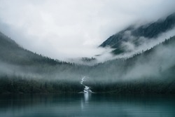 Fast creek flows between trees and flows into mountain lake. Gloomy misty landscape with highland lake and dark forest among low clouds. Alpine atmospheric scenery with conifer forest in dense fog.