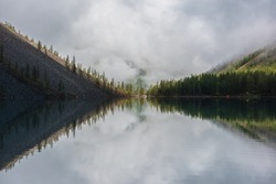 Tranquil meditative scenery of glacial lake with pointy fir tops reflection and forest hill in thick low clouds. Graphic EQ of spruce tops on alpine lake in dense fog. Mountain lake at early morning.