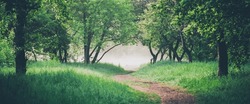 Atmospheric landscape with beautiful lush green foliage. Footpath under trees in park in early morning in mist. Pathway among green grass and leafage in faded tones. Toned green background of nature.