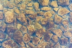 Stones and seaweed on the natural sea bottom. Background texture of the ground structure under clear water. The rough pattern could be an abstract backdrop. Top down view on rocks at the sea shore.
