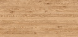 Wood Texture Seamless Oak Tree Raw Natural Long