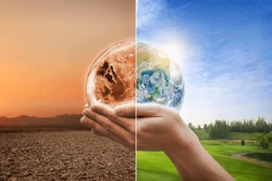 Hands protect forests that grow on the ground and help save the world.Global warming concept (Elements of this image furnished by NASA)