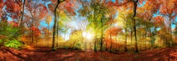 Colorful forest panorama in autumn, with the bright sun centered and casting beautiful rays through the branches