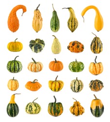High resolution set of twenty-five diverse colorful pumpkins on white background