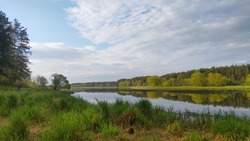 There is a forest growing on both banks of the river. Grass grows near the water on the shore. The sky and clouds are reflected in the calm water of the river.