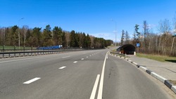 The paved motorway with markings is equipped with side and central metal fences, poles with lighting lights and an underground pedestrian crossing. There is a forest growing along the road