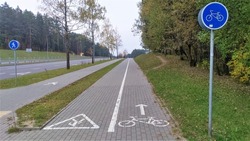 Between the trees of the park and the roadway of the city street there are bicycle and pedestrian paths, lined with concrete tiles and marked with signs and markings. Fallen leaves on the lawns. Dull