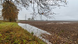 It is raining in the fall and there is a puddle in the field that was plowed over after the harvest. Next to the field is a grassy lawn with trees and a highway There are power line poles in the field