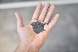 View of the circular steel grits in the palm for abrasive or sandblasting. Steel grits are produced by fracturing high carbon steel balls after heat treatment. Steel grits have high resistance.