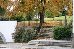 Autumn outdoor stairway with fallen leaves