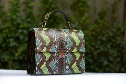 Stylish woman s handbag with immitation of snake s skin, was made in blue,green and brown colors. It has a little handles. Stands on a white surface on a green background.