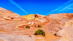 The colorful red, yellow and white banded rock formations of the Fire Wave Rock on the Fire Wave Trail in the Valley of Fire State Park in Nevada, USA