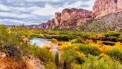 The Salt River and surrounding Mountains in the state of Arizona with fall colored shrubs and trees