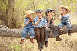 Four boys eat apples sitting on a tree branch in a sunny summer day