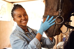 A young Black African woman veterinarian checking the condition and the health of a horse. She is wearing a blue button up shirt and a blue jeans as well as blue surgical gloves and a stethoscope