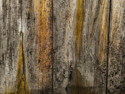 Rustic wood background. aged. grunge texture