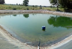 This is the Artificial Farm Lake.It is a farm pond. It is used to store bore well water.