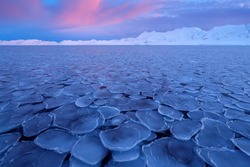 White snowy mountain on Svalbard, Norway. Ice in ocean, twilight in North pole. Pink clouds with ice floe. Beautiful landscape cold nature.