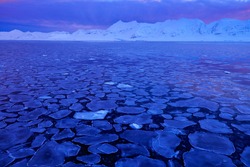 White snowy mountain, blue glacier Svalbard, Norway. Ice in the ocean. Pink clouds with ice floe. Dark landscape picture.