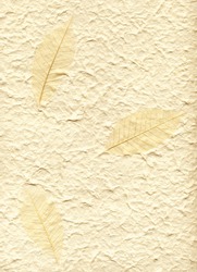 Background with decorative vat paper and three leaves on it